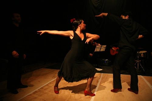 Flamenco1-1