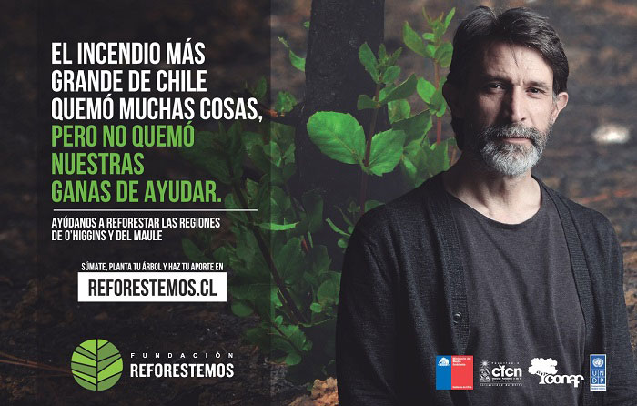 Campaña nacional de reforestación en VI y VII Región 1