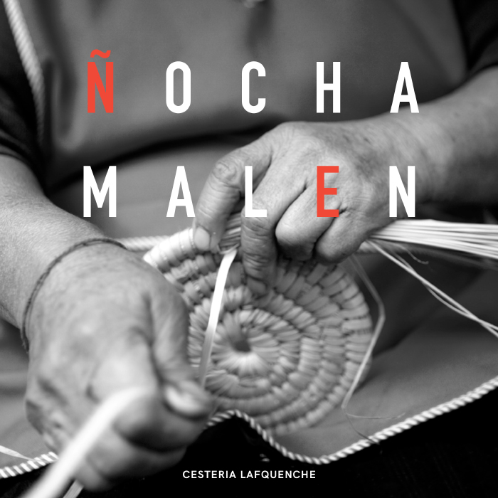 Ñocha Malen: el Arauco domado y dominado por las mujeres 1