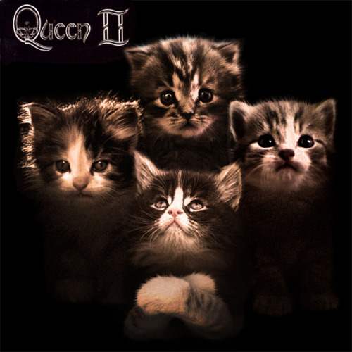 The kitten covers, discografía dominada por gatitos 13