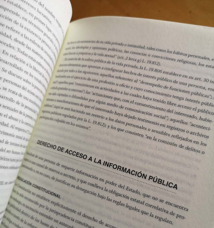 Diccionario Constitucional Chileno editado por Hueders 2