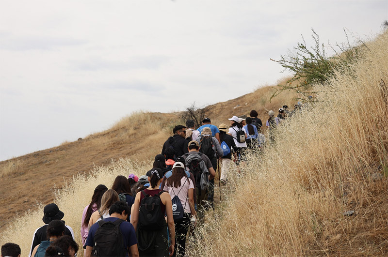 Día de los Cerros, una conexión con la naturaleza en la ciudad 2