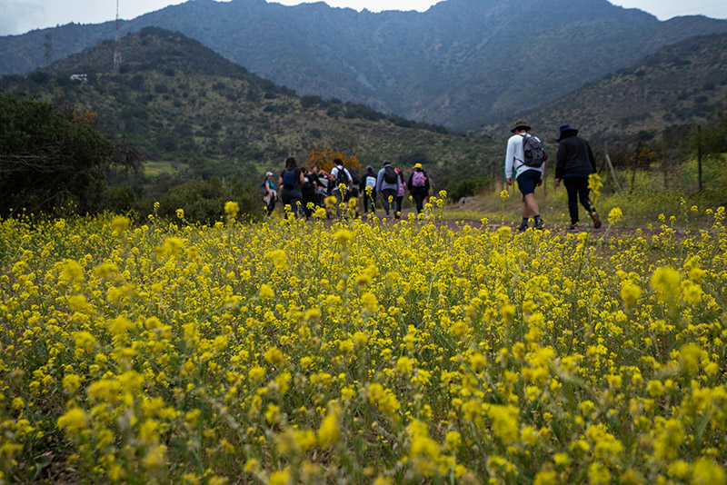 Día de los Cerros, una conexión con la naturaleza en la ciudad 4