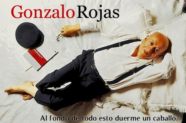 "Al fondo de todo esto duerme un caballo", el documental de Gonzalo Rojas online 1